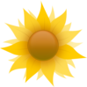 Blooming Sunflower Clip Art